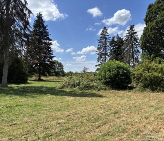 photo b745cdfe2762b9e0f2cd6078da6fa4b6