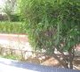 photo dfa7fc1ecd0339c756115f8dfdd84c76