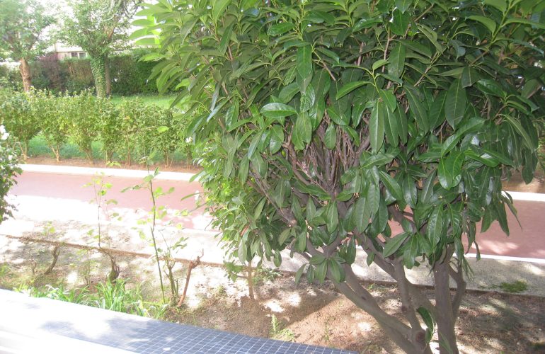 photo dfa7fc1ecd0339c756115f8dfdd84c76